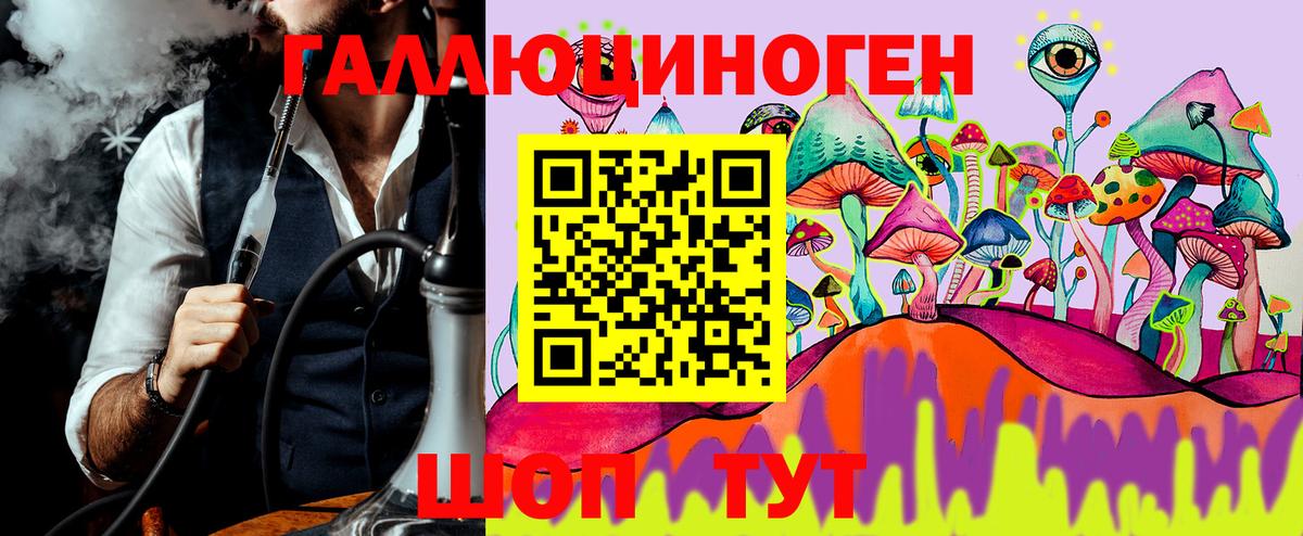 МЕФ кристаллы  Кувандык  Вход с VPN  MDMA  A PVP СК   ГАШИШ  Cocaine  Бошки Шишки 